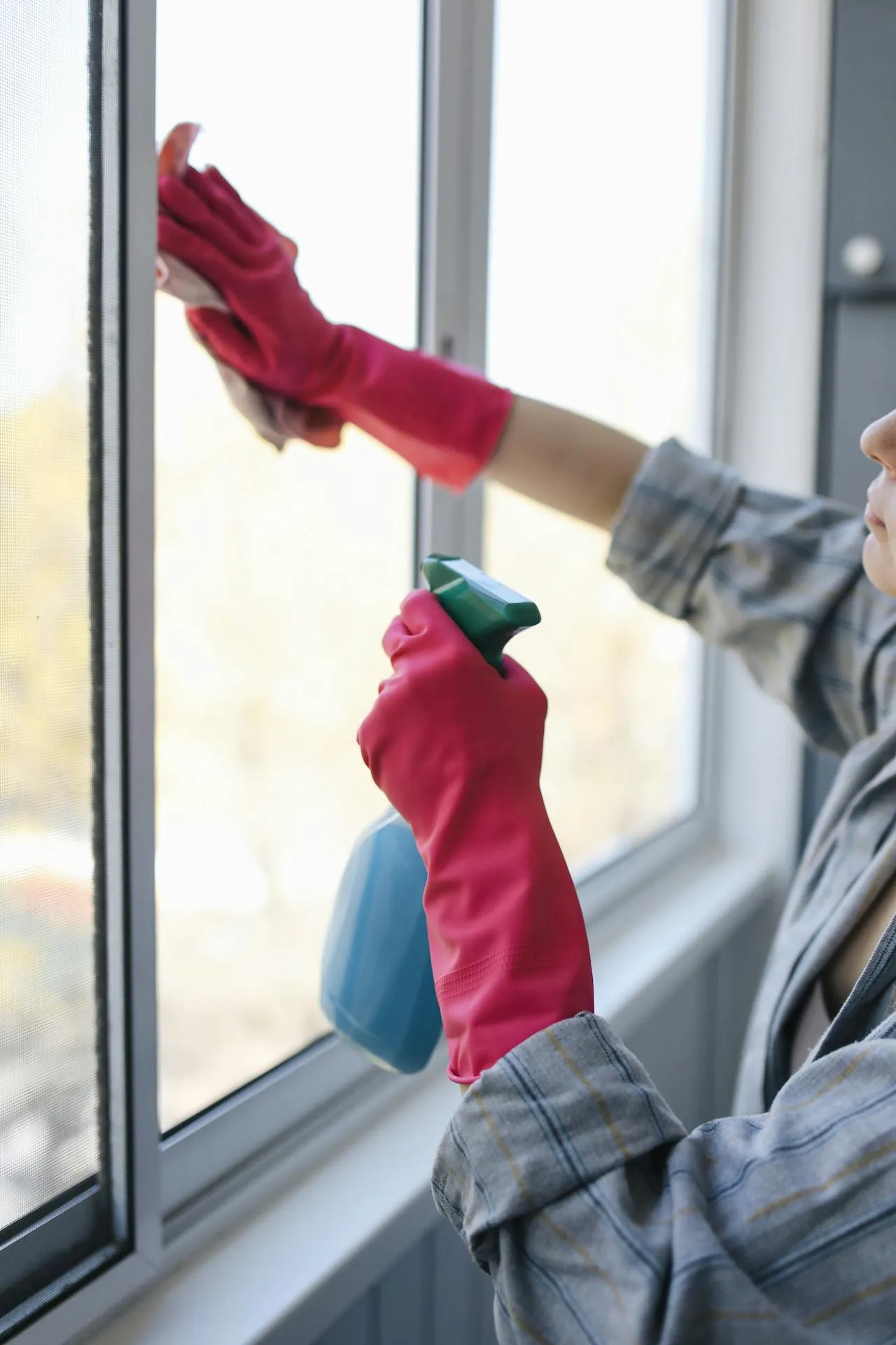 Windows being cleaned to a streak-free shine